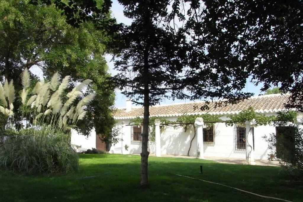 Casa El Carmen Villa Ciudad Real Bagian luar foto