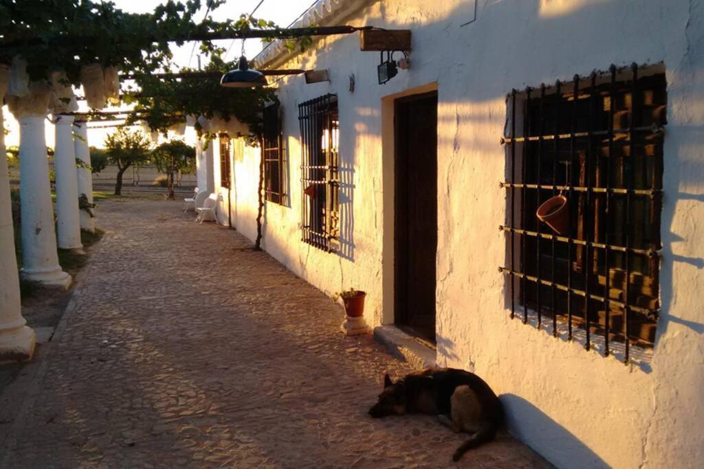 Casa El Carmen Villa Ciudad Real Bagian luar foto