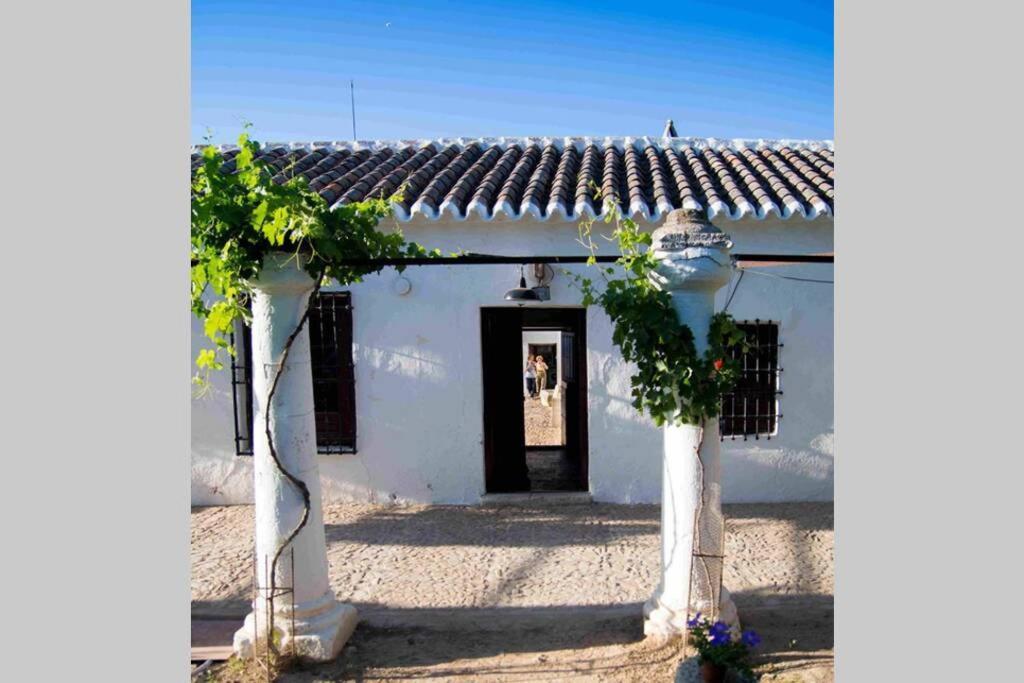 Casa El Carmen Villa Ciudad Real Bagian luar foto