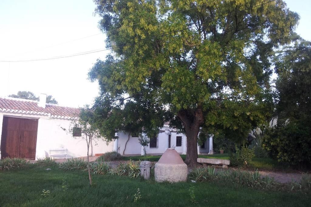 Casa El Carmen Villa Ciudad Real Bagian luar foto